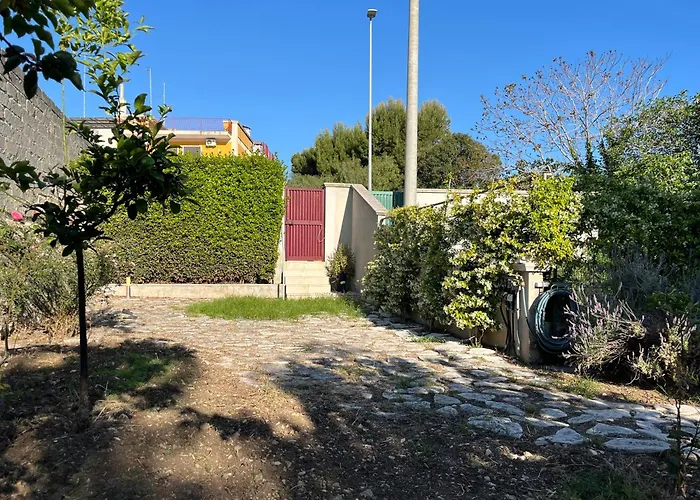 Luce ביצ'לייה